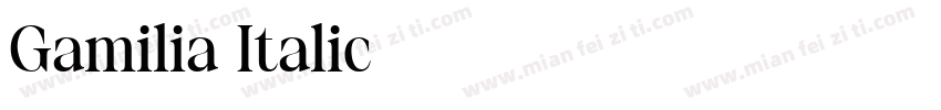 Gamilia Italic字体转换